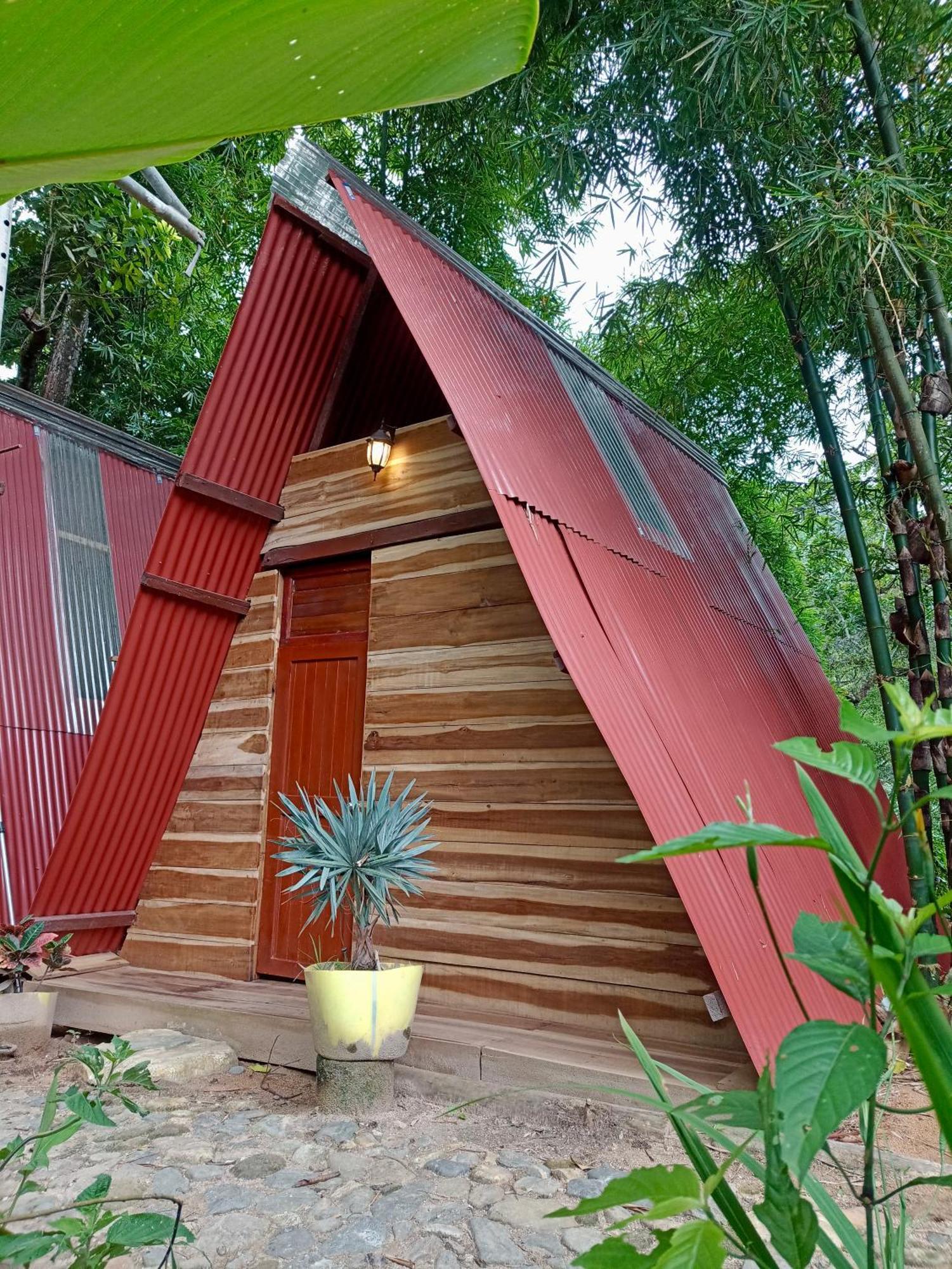 Hostal Las Mariposas Minca Exterior foto