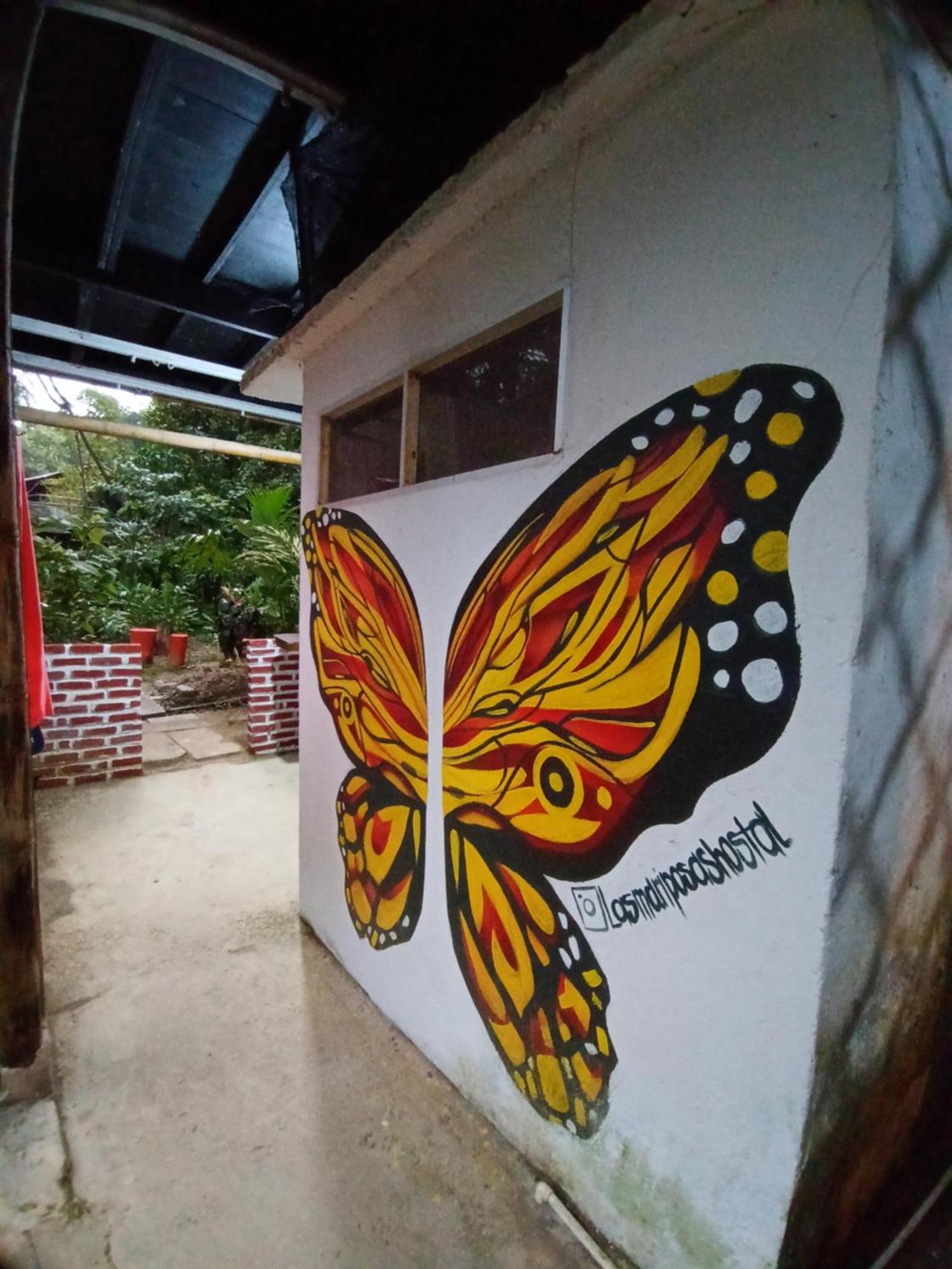 Hostal Las Mariposas Minca Exterior foto