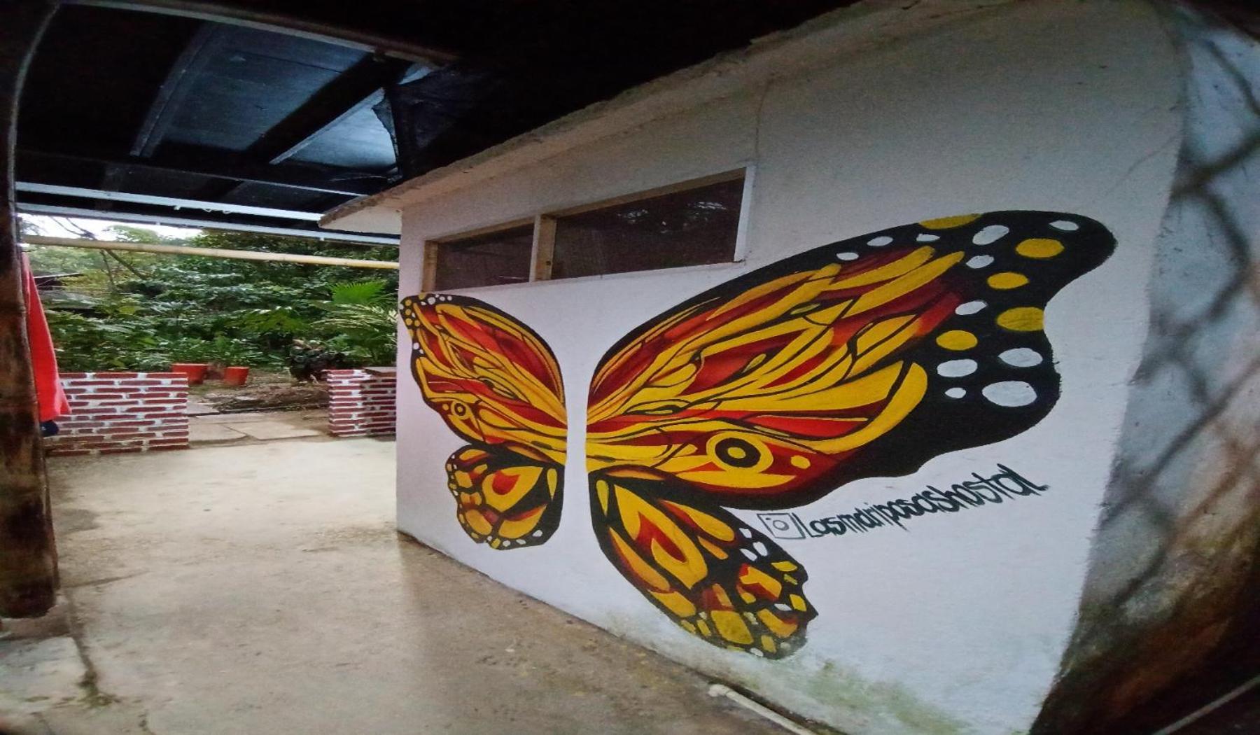 Hostal Las Mariposas Minca Exterior foto